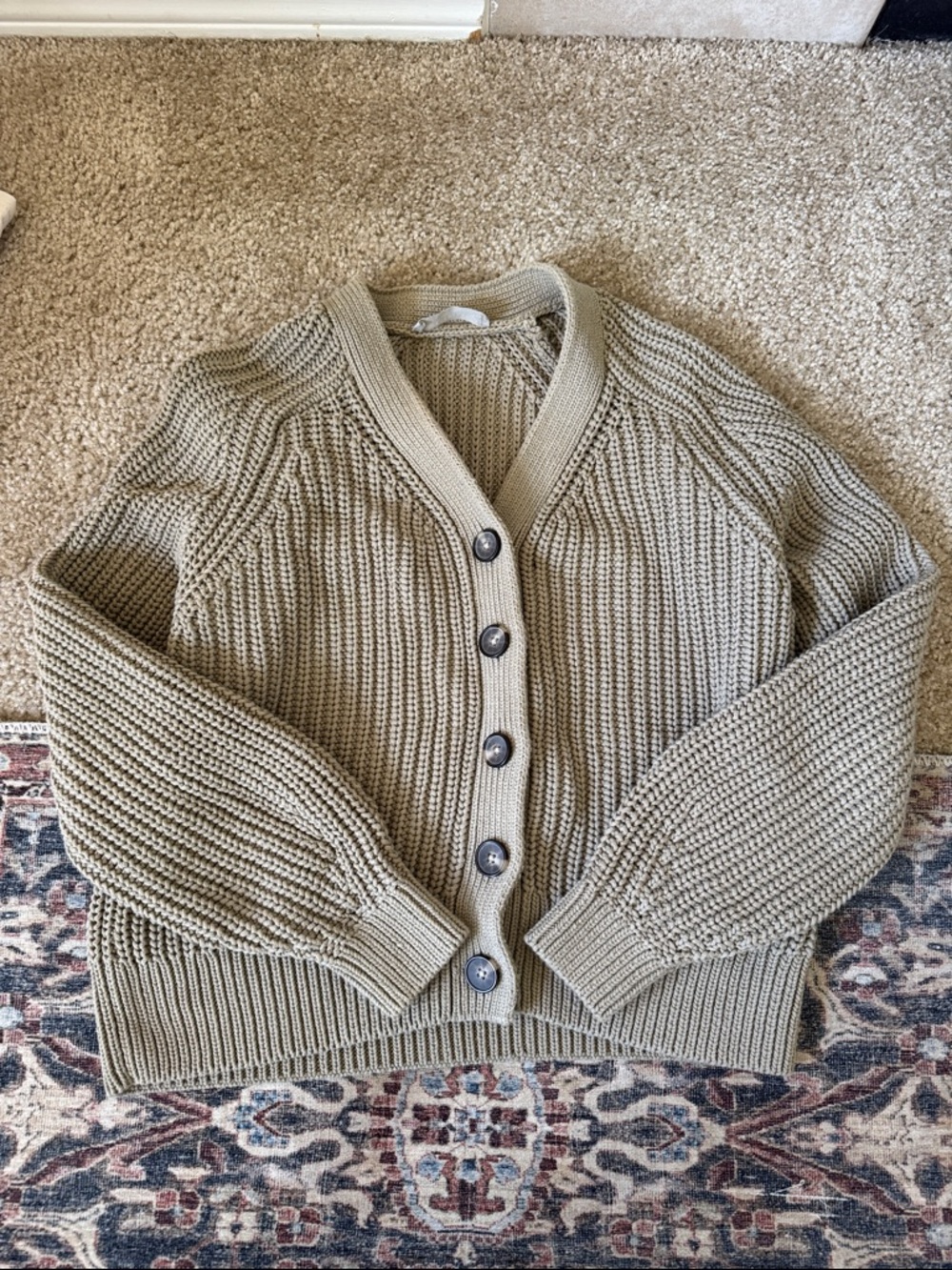 Everlane Chunky Button-Front Cardigan in Taupe